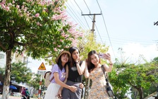 Con đường hơn 2 km rực rỡ sắc tím hoa bằng lăng: Người trẻ bị ‘hớp hồn’
