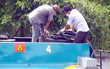 Vĩnh Long: Bán dầu DO không đảm bảo chất lượng, bị phạt gần 154 triệu đồng