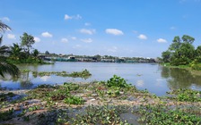 Vĩnh Long: Sạt lở lúc rạng sáng, hơn 4 tấn cá giống trôi ra sông Cổ Chiên