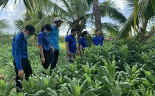 Hơn 1.000 đoàn viên thanh niên được ủy thác vay vốn ưu đãi phát triển kinh tế