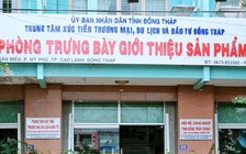 Kỷ luật Phó giám đốc Trung tâm xúc tiến, đầu tư tỉnh Đồng Tháp