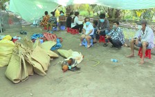 Vĩnh Long: Bắt tụ điểm đánh bạc trong vườn dừa, thu giữ trên 360 triệu đồng