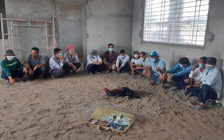 Vĩnh Long: Bắt 13 người tụ tập đá gà ăn tiền trong trường mầm non