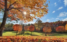 Công dân những nước nào ở Đông Nam Á du lịch Nhật Bản không cần visa?