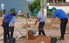 Thanh niên Bình Định thi đua lập thành tích chào mừng Đại hội Đảng bộ tỉnh