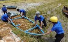 Chuyển đổi số trong các hoạt động phong trào của thanh niên