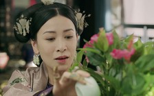 Fan Việt phẫn nộ vì không thể xem ‘Diên hi công lược’ trên mạng