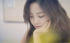 Sao Hàn tự sát: Mặt tối làng giải trí