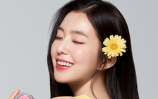 Irene bị gỡ ảnh quảng cáo sau scandal chửi biên tập viên thời trang