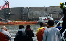 Xương tìm thấy trên phà Sewol có thể là... xương heo