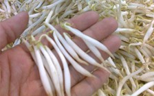 Làm giá 'siêu tốc' bằng hóa chất: Cơ quan chức năng cũng bức xúc