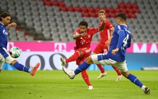 Lịch thi đấu, lịch phát sóng Bundesliga đêm nay 27.9: Hoffenheim run rẩy tiếp Bayern Munich