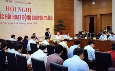 Đề nghị nghiêm cấm hoạt động tín ngưỡng kích động bạo lực, xâm hại động vật