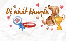 Đệ nhất khuyển