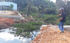 Lập đoàn kiểm tra vi phạm đất đai, chặt phá và lấn chiếm rừng ở Phú Quốc