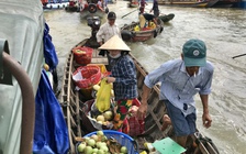 Đại sứ Hoa Kỳ khen: 'Xoài Việt Nam ngon nhất thế giới!'