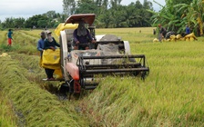 Phát triển nông nghiệp ĐBSCL thành hình mẫu cho cả nước