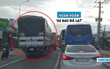 Ngao ngán cảnh ‘xe rau Đà Lạt’ vượt ẩu, chạy ngược chiều bất chấp trên quốc lộ