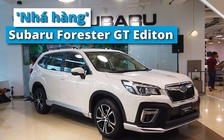 Subaru 'nhá hàng' Forester GT Editon bên thềm cuộc thi ‘chạm tay vào ô tô’