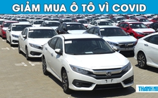 Covid-19 kéo giảm sức mua ô tô đầu năm 2020