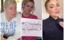 Sao Hollywood đồng loạt tự cách ly tại nhà phòng dịch Covid-19