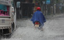 Nhiều phụ huynh phải đón con về giữa trời mưa bão