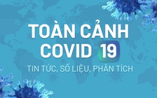 Toàn cảnh Covid-19: Tin tức, số liệu, phân tích