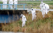 Thông điệp trên mạng chỉ nơi tìm thấy thi thể bé gái Việt chết ở Nhật?