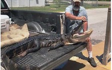 Tranh cãi chuyện bé gái Mỹ mở miệng cá sấu để thoát thân