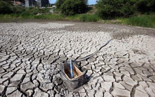 Liên Hiệp Quốc: Triều Tiên đối mặt nạn thiếu lương thực trầm trọng do hạn hán