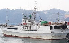 Thủy thủ người Việt nhận án chung thân vì giết thuyền trưởng, máy trưởng Hàn Quốc