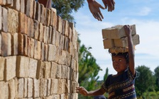 73 triệu trẻ em bị buộc làm công việc nguy hiểm