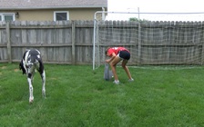 Trở thành 'doanh nhân' lúc 12 tuổi