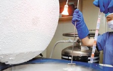 Nhiều người trẻ Hàn Quốc trữ tinh trùng và trứng