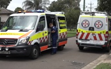 Chó tấn công người kinh hoàng ở Úc