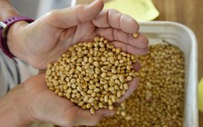 Đài Loan xen vào xung đột thương mại Mỹ-Trung