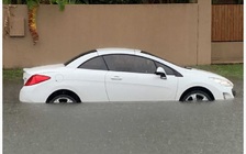 Cháy rừng mới hạ nhiệt, Úc lại hứng lũ quét