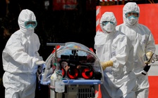 Dịch COVID-19: Hàn Quốc, Đức có thêm hàng trăm ca nhiễm mới