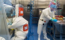 Mỹ từng tài trợ phòng thí nghiệm Vũ Hán nghiên cứu virus Corona trên dơi?