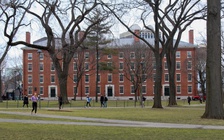 Mỹ sẽ không cấp thị thực cho sinh viên nước ngoài chỉ muốn học trực tuyến