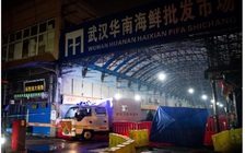 2 động vật nào bị nhóm điều tra WHO nghi ngờ phát tán virus gây Covid-19 tại Vũ Hán?