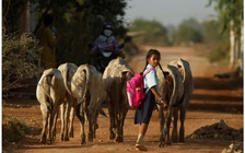 Covid-19 tác động như thế nào tới cuộc đời của nhiều trẻ em gái Đông Nam Á?