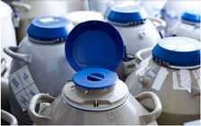 Để hỏng trứng và phôi đông lạnh, phòng khám phải bồi thường 343 tỉ đồng