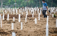 Hôm nay dịch Covid-19 ở Đông Nam Á rất nóng