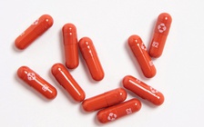 WHO khuyến nghị gì khi dùng thuốc molnupiravir điều trị Covid-19?