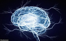 Xung điện giúp chữa bệnh như thế nào?