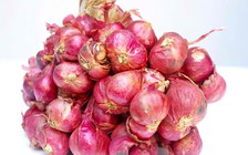 Củ hành tím có thể giúp chống lại vi khuẩn lao kháng thuốc