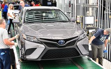Toyota triệu hồi xe Camry vì lỗi ‘củ chuối’