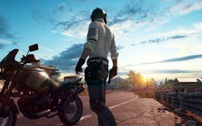 Công ty PlayerUnknown's Battlegrounds kiện Epic Games với cáo buộc vi phạm bản quyền