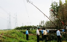 Xét xử tài xế xe cẩu gây cúp điện toàn miền Nam